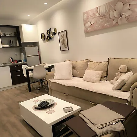 Nina Urban Apartment-novi Апартаменты *