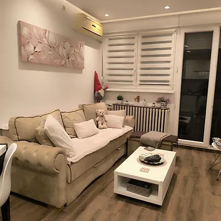 Апартаменты Nina Urban Apartment-novi